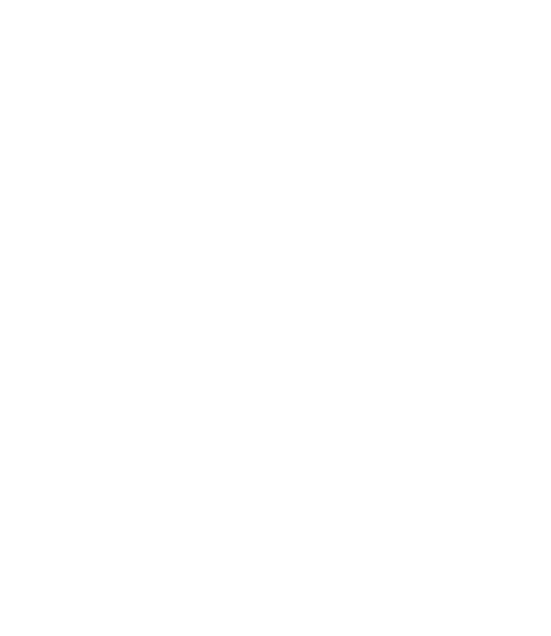 König Ludwig Lauf