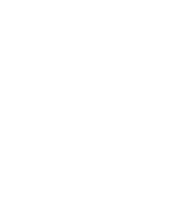 König Ludwig Lauf