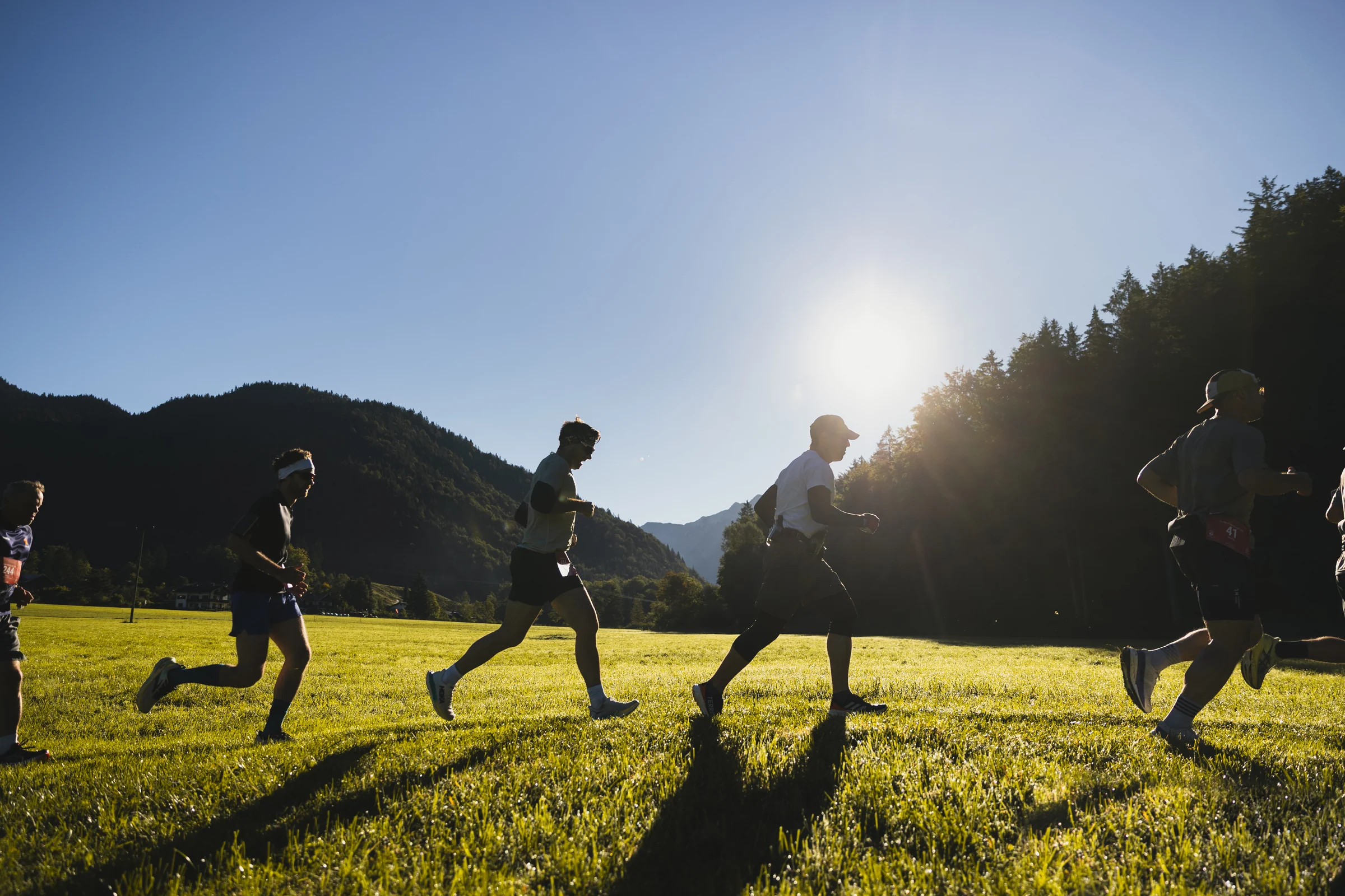 Runners cross a sunlit meadow in backlight.